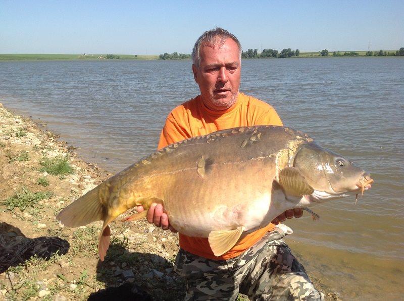 Cum a ajuns un crap de 20 kg de la Sarulesti la MV2